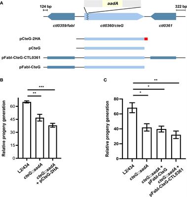 The Type III Secretion Effector CteG Mediates Host Cell Lytic Exit of Chlamydia trachomatis